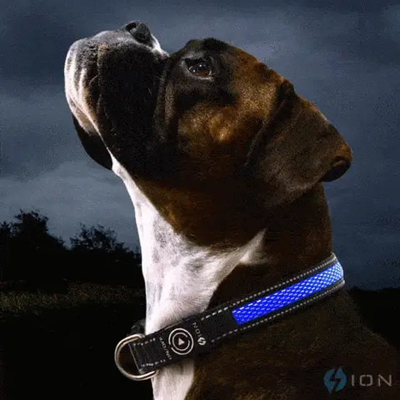 ION™ LED Collar