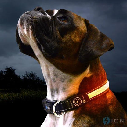 ION™ LED Collar