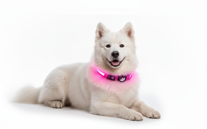 Slimme GPS Hondenhalsband  Volg Je Hond Altijd en Overal