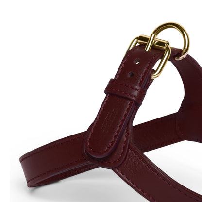 Premium Merlot Harness for Maximum Comfort and Control