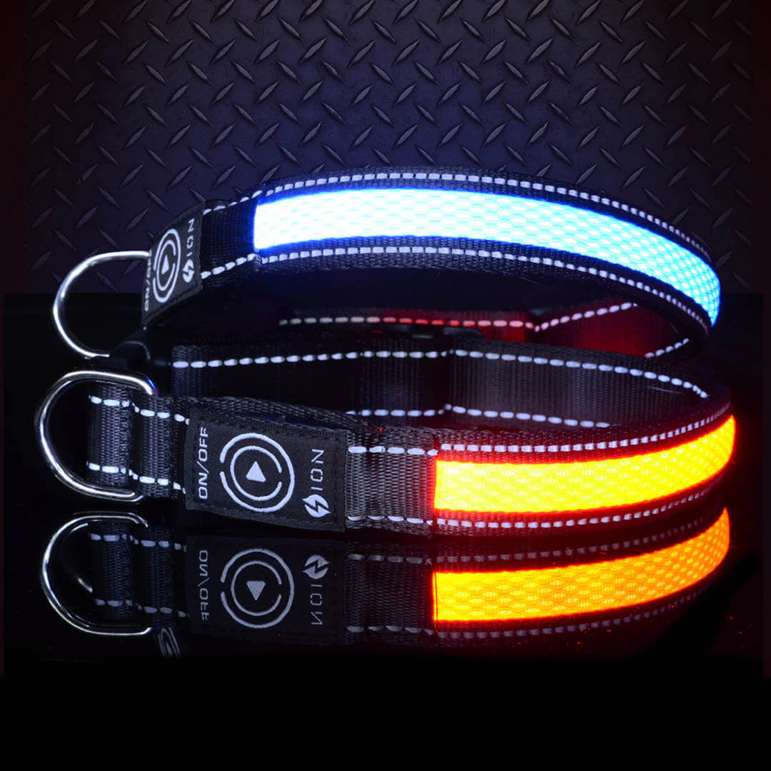 ION™ LED Collar