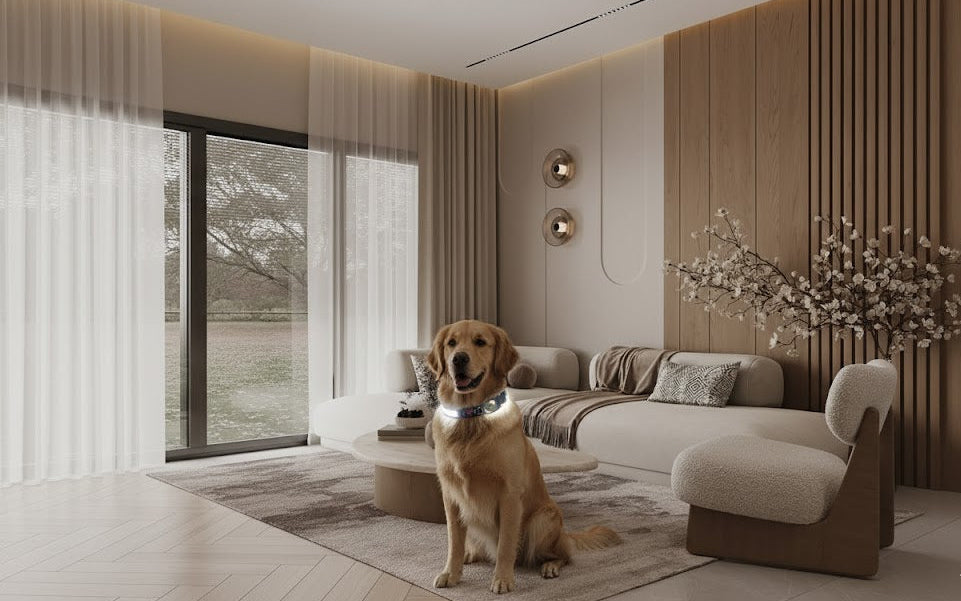 Slimme GPS Hondenhalsband  Volg Je Hond Altijd en Overal